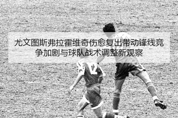 img_1781554721432_23_1_474.jpg